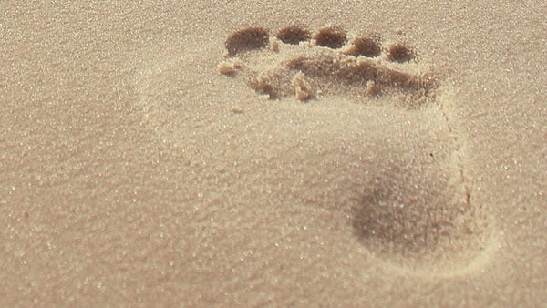 Make Your Own Tracks