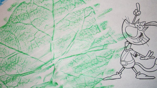 Nature Card