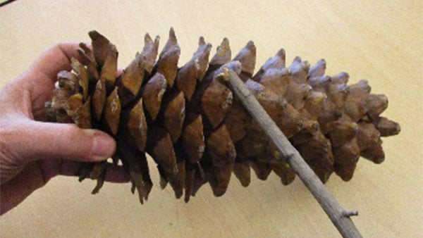 Nature Instruments