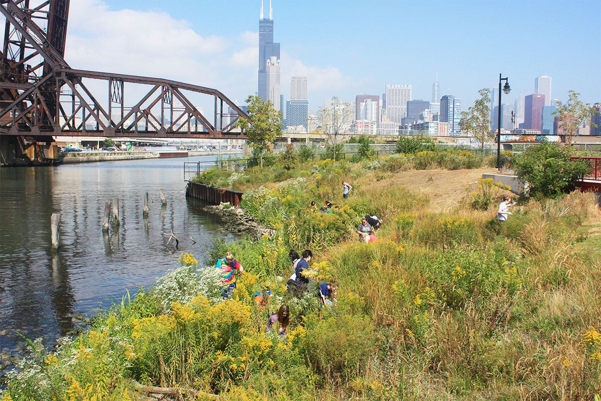 Chicago River cleanup