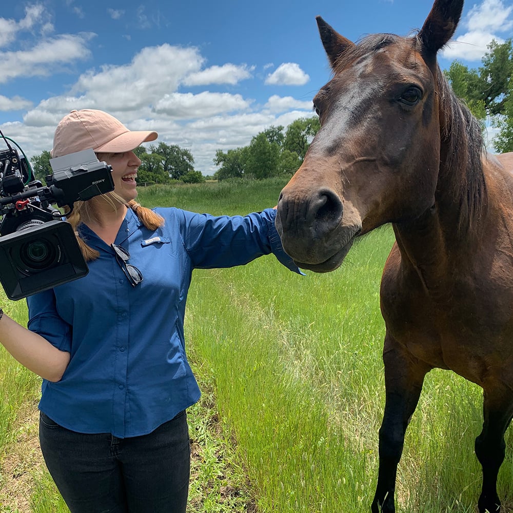 petting a horse