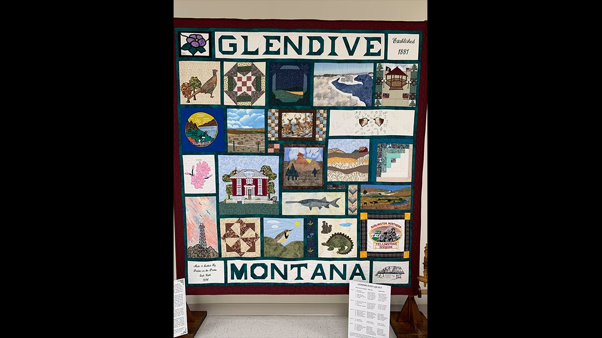 a dinosaur quilt