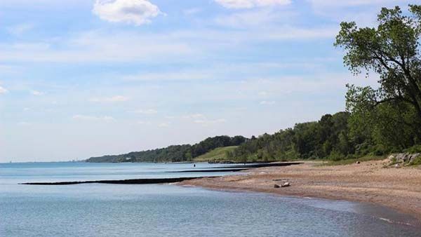 Openlands Lakeshore Preserve is pictured, with a small beach and tree line to the right and the lake to the left.