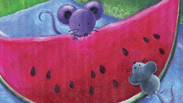 Mice eating watermelon.