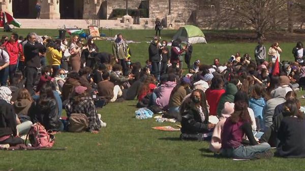 A group of student protestors sitting on a lawn at Northwestern University