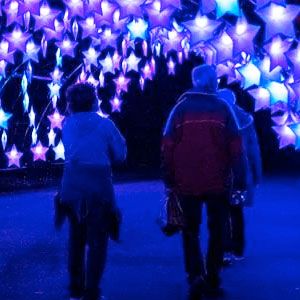 People walking through lighting display