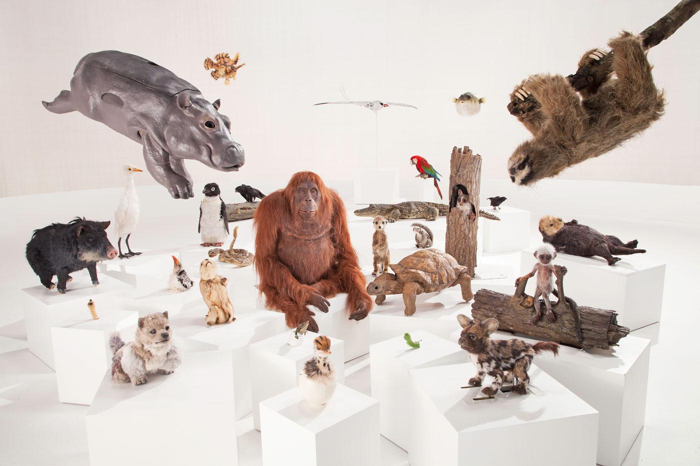 Some of the spy creatures from 'Spy in the Wild.' (Courtesy of Stephen J. Downer/ © John Downer Productions)