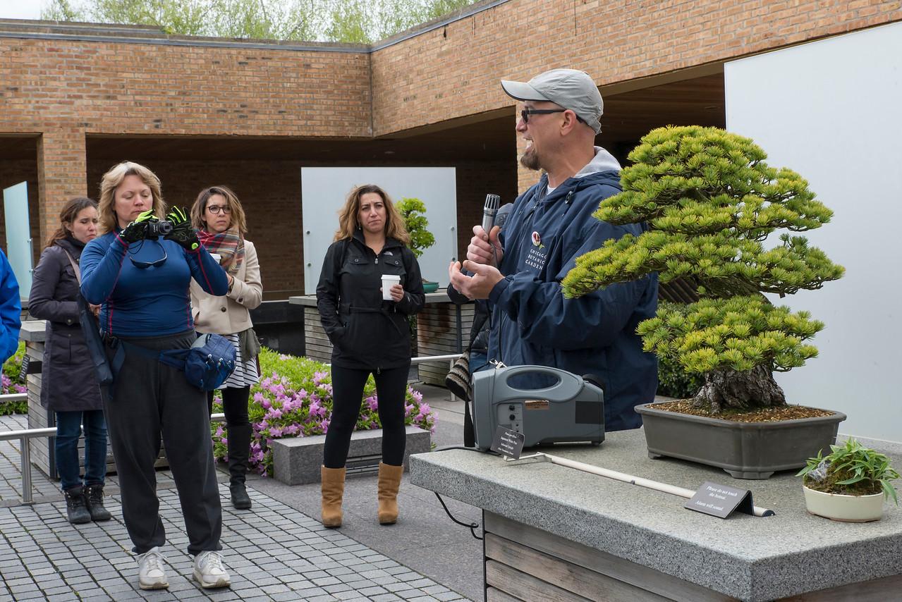 Chris Baker and bonsai. Photo: Chicago Botanic Photos
