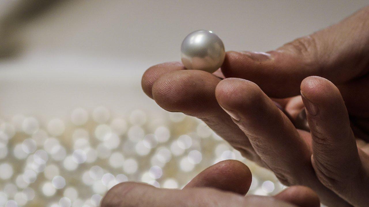 Pearl in hand. Photo: Nick Robinson