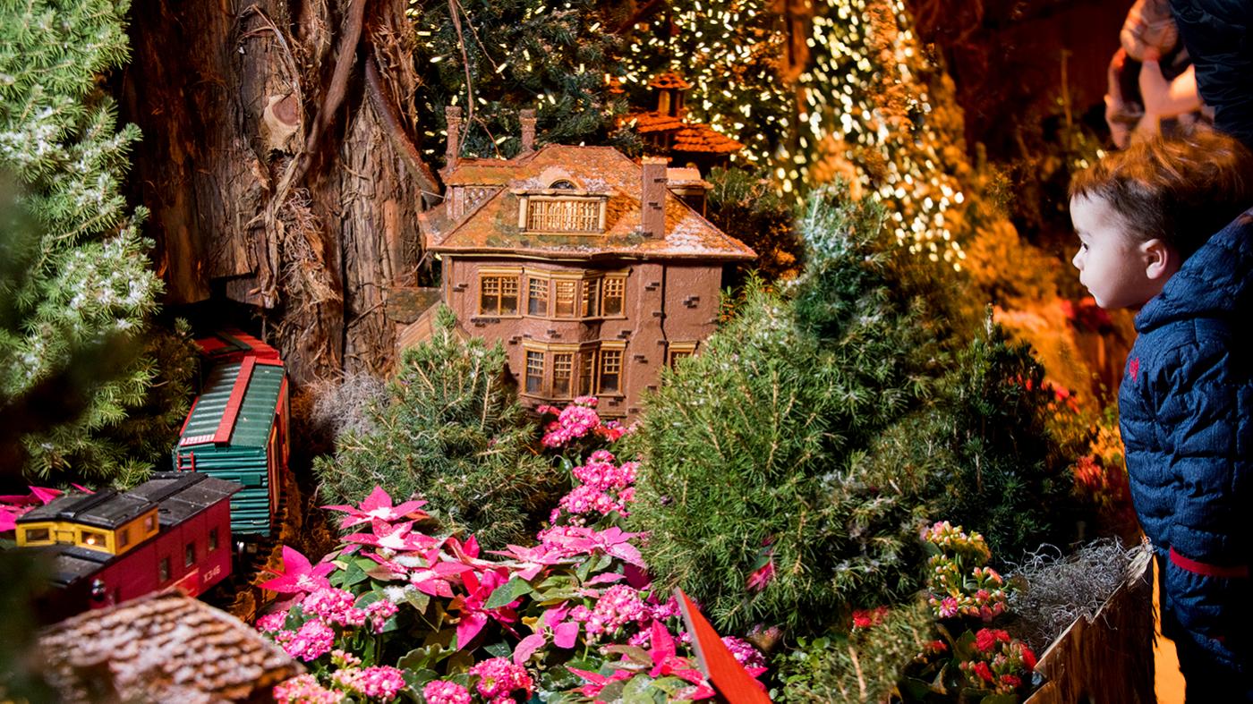 Chicago Botanic Garden's Wonderland Express trains. Photo: Chicago Botanic Garden