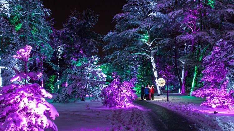 Photo: Morton Arboretum