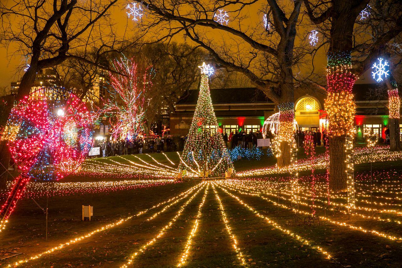 ZooLights. Photo: Lincoln Park Zoo
