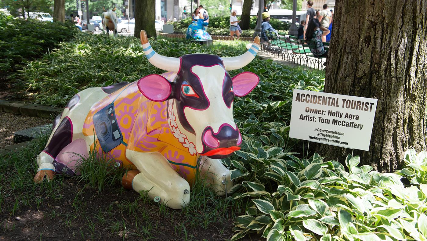 Cows Come Home on the Magnificent Mile. Photo: LaCour Images, courtesy of The Magnificent Mile Association