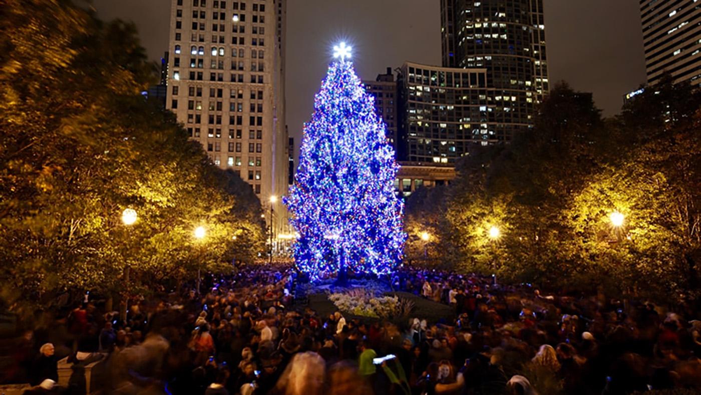 Chicago Christmas Tree