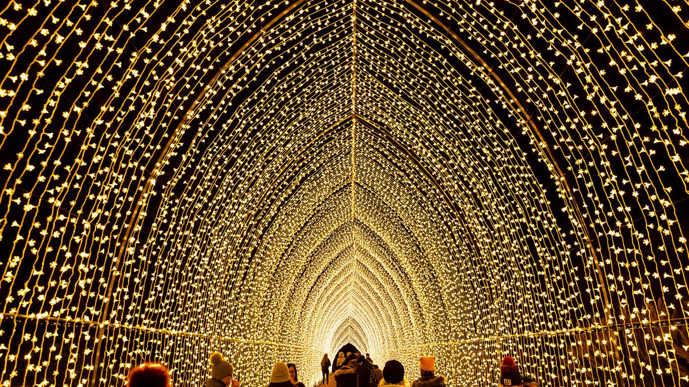 Lightscape