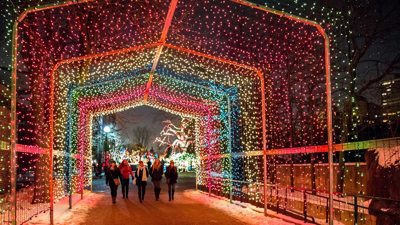ZooLights