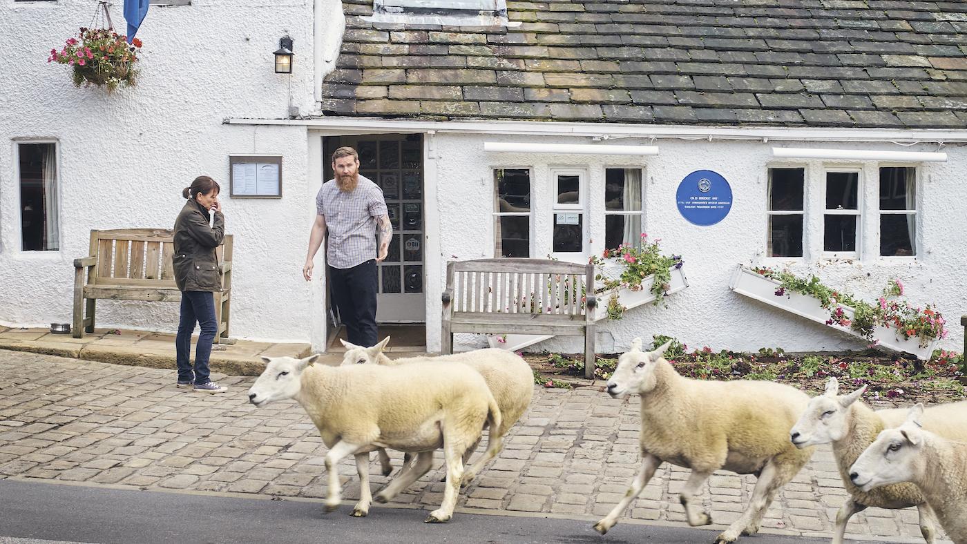 Gillian and her sheep in 'Last Tango in Halifax.' Photo: Stuart Wood