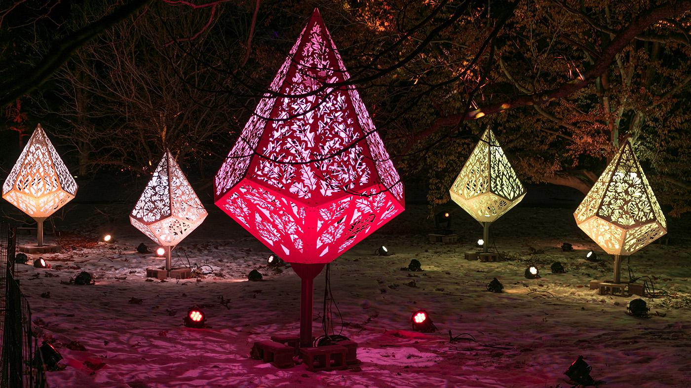 Illumination at the Morton Arboretum