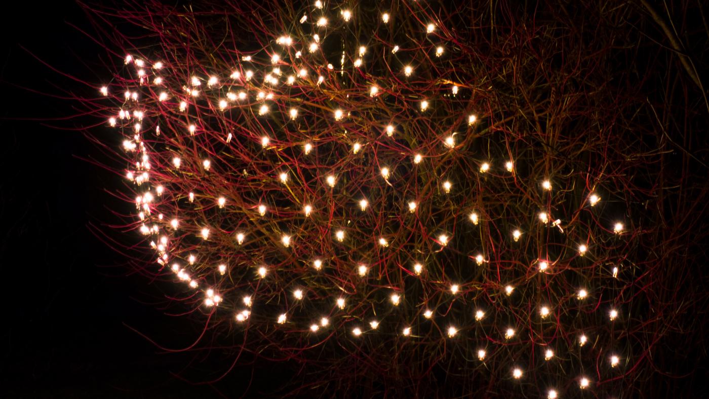 Christmas lights