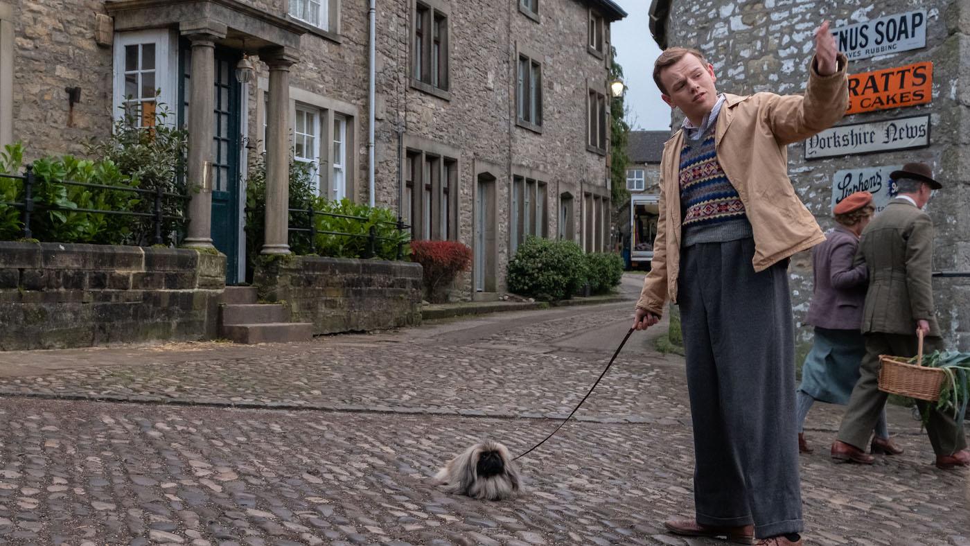 Tristan and Tricki Woo in 'All Creatures Great and Small.' Photo: Playground Television UK Ltd & all3media international