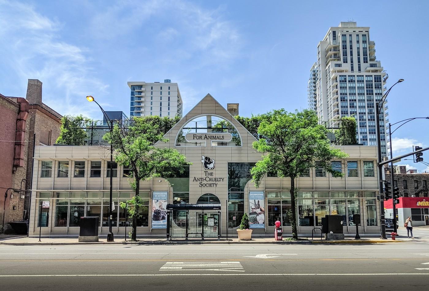 Anti-Cruelty Society in Chicago