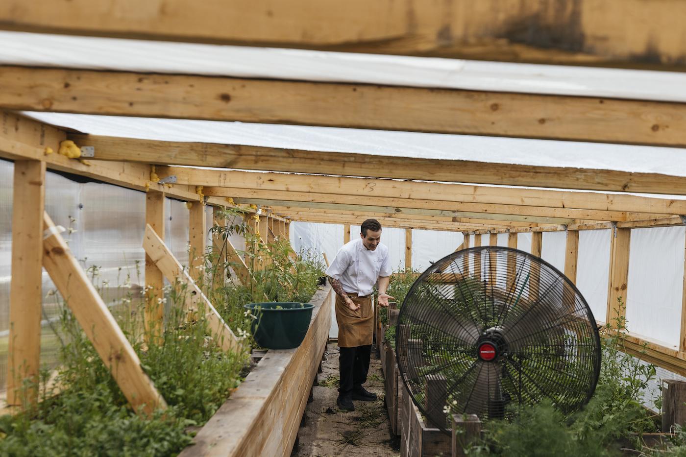 Devon Quinn in an area off his greenhouse filled with plants and a fan