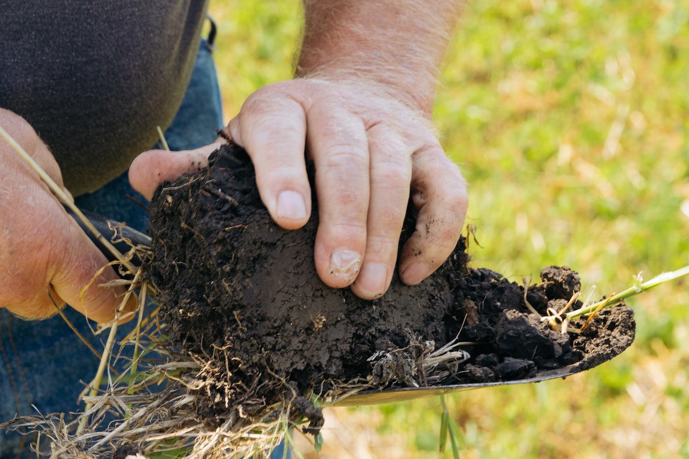Harold Wilken handles a chunk of soil on a shovel head