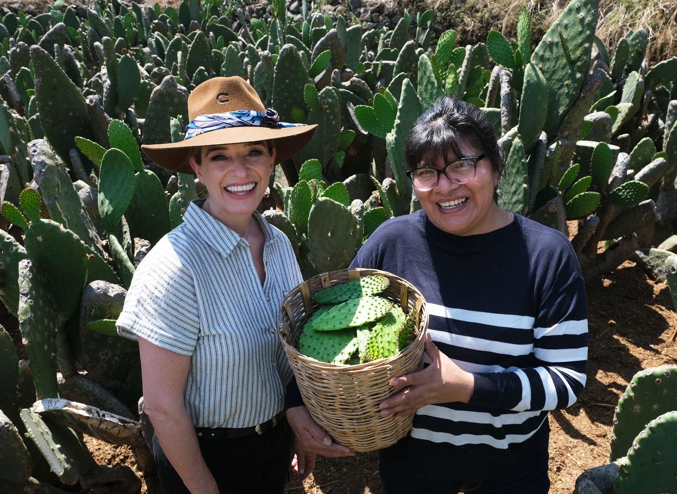 Pati harvests nopales