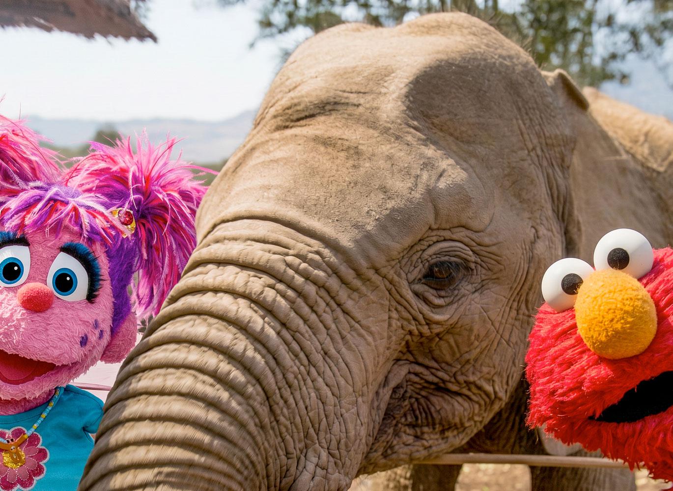 Abby and Elmo with an elephant