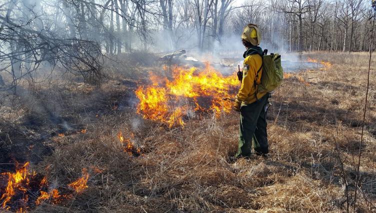Stewardship Programs Get Boost From Nearly $1M in Illinois DNR Grants