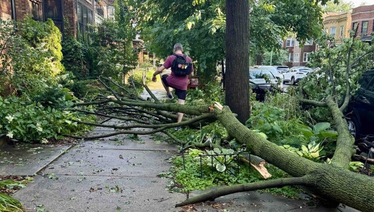 Chicago Area Cleaning Up After Powerful Storms Cause Flooding and Downed Trees