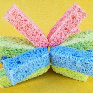 Squishy Sponge Ball