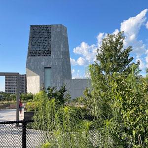 A fruit and vegetable garden on the roof of the Chicago Public Library branch at the Obama Center continues Michelle Obama's focus on healthy eating. Credit: Daniel Hautzinger for WTTW