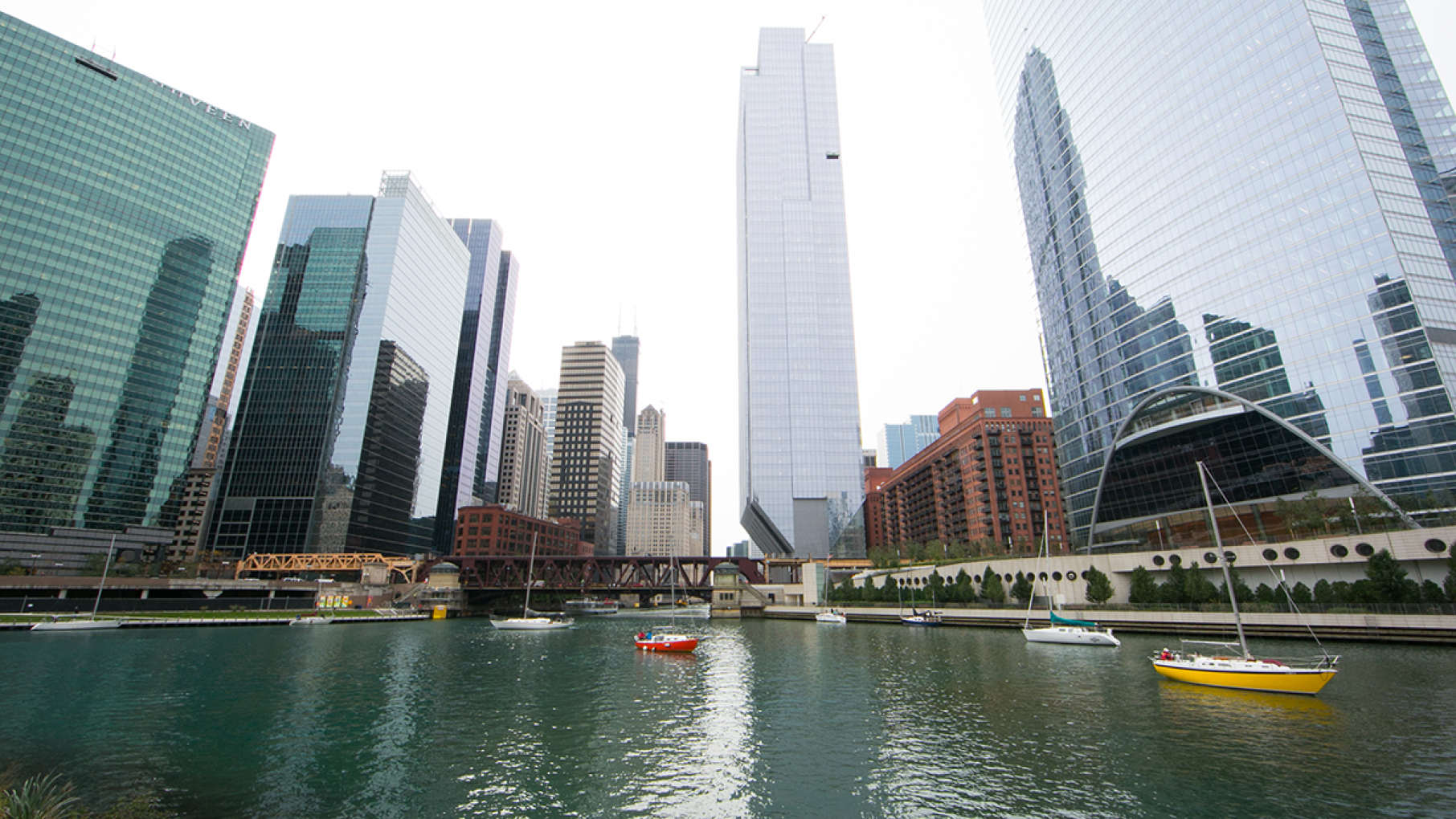 The View from Wolf Point
