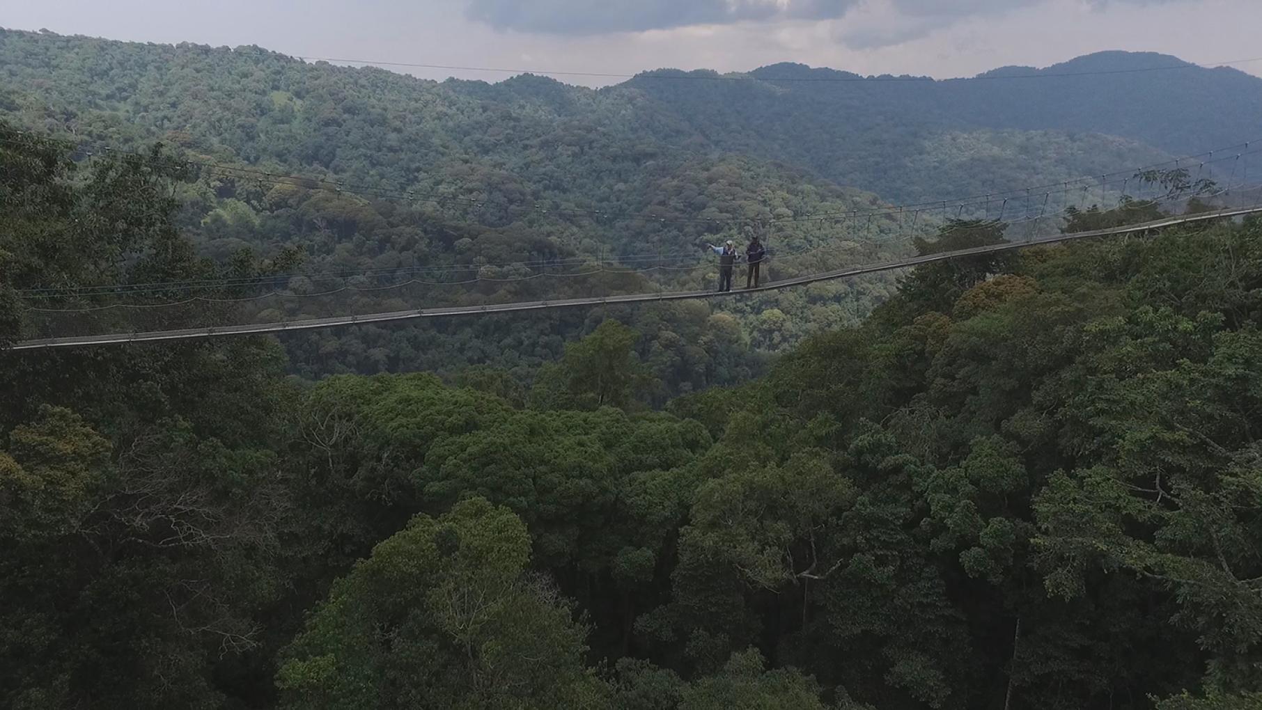 Peter Greenberg and Rwandan President Paul Kagame  above Nyungwe National Park
