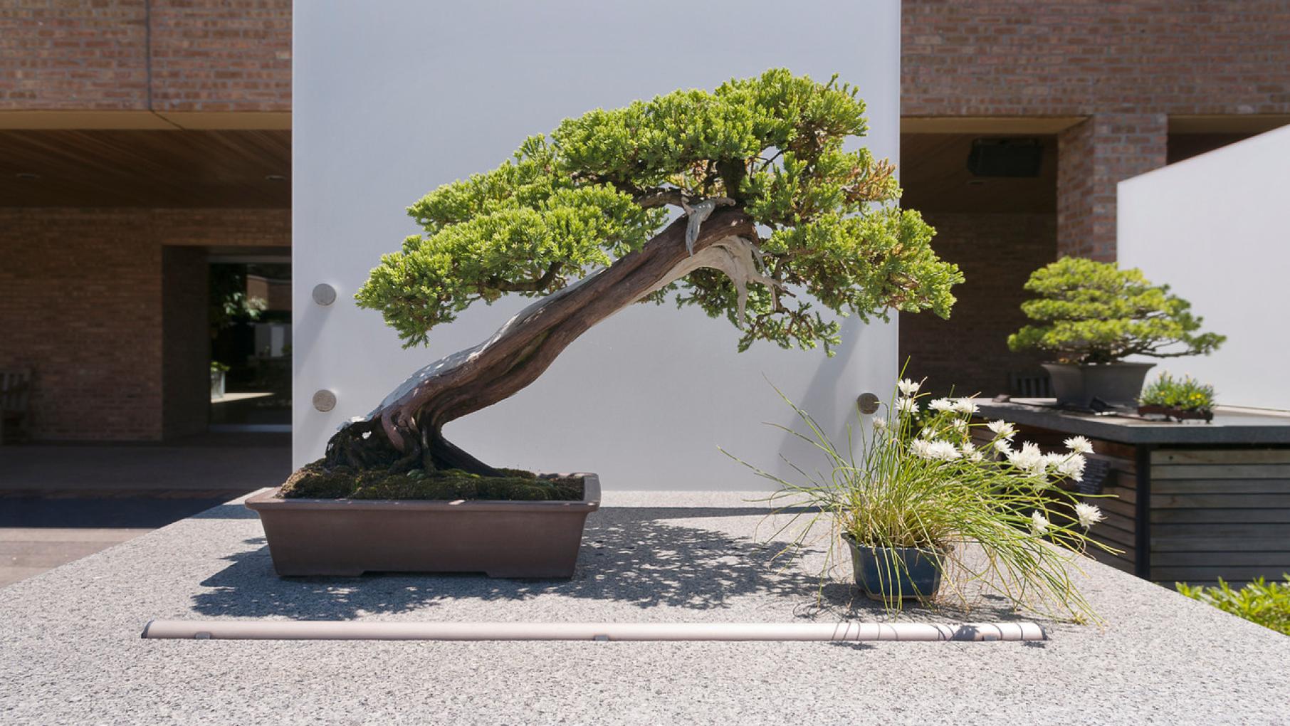 Photo: Chicago Botanic Photos