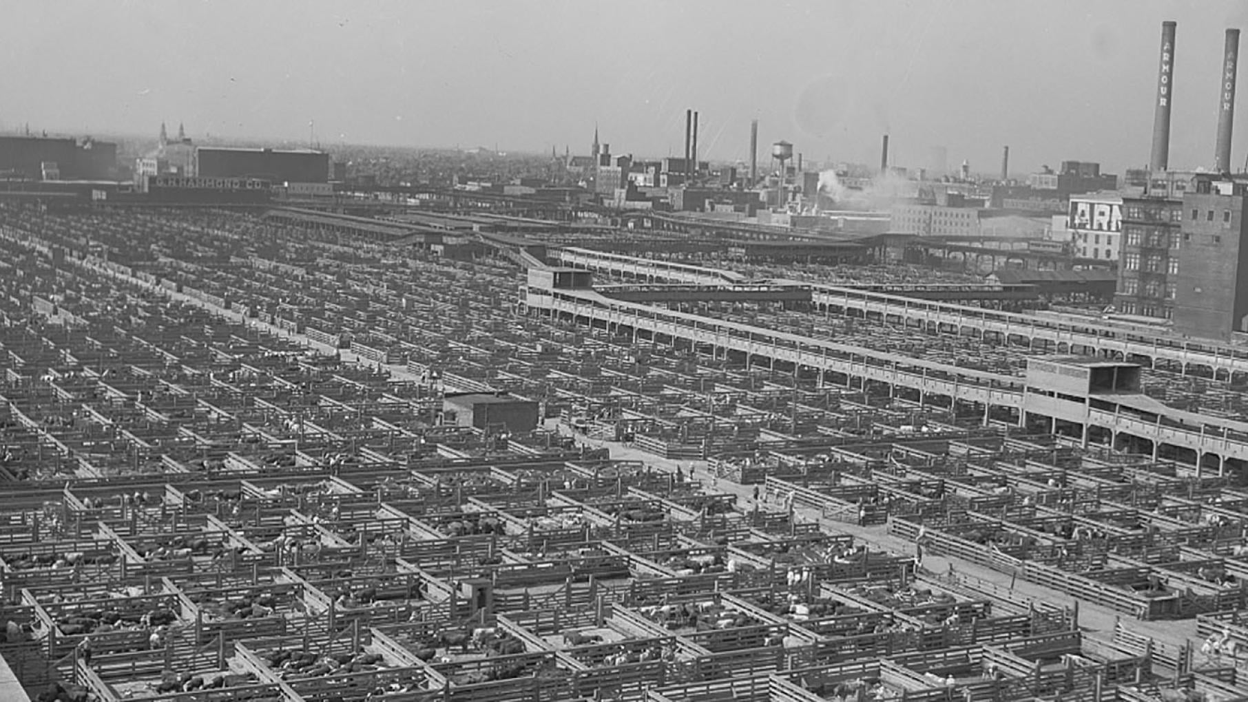 Chicago Union Stock Yards