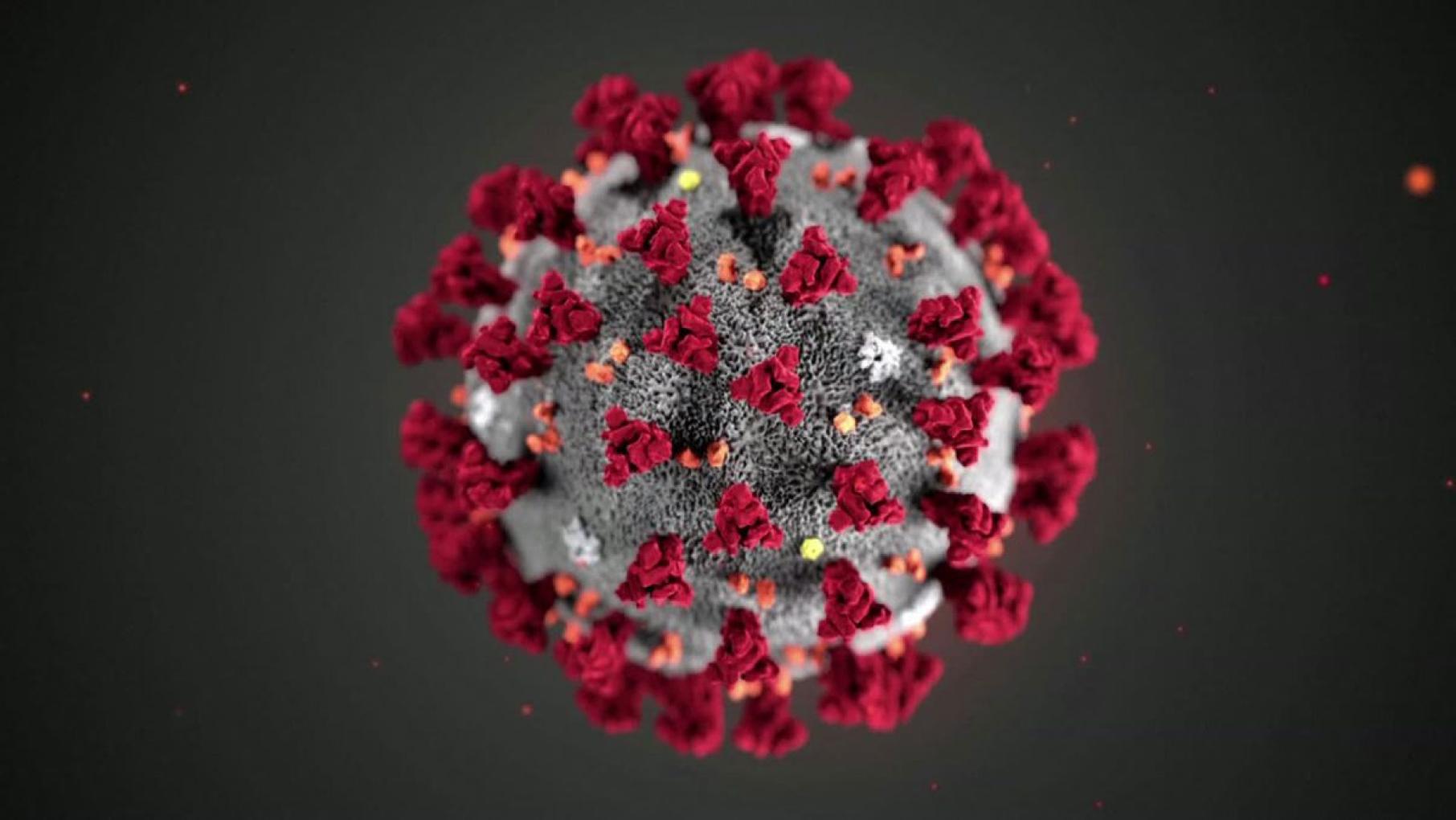 Coronavirus, or COVID-19