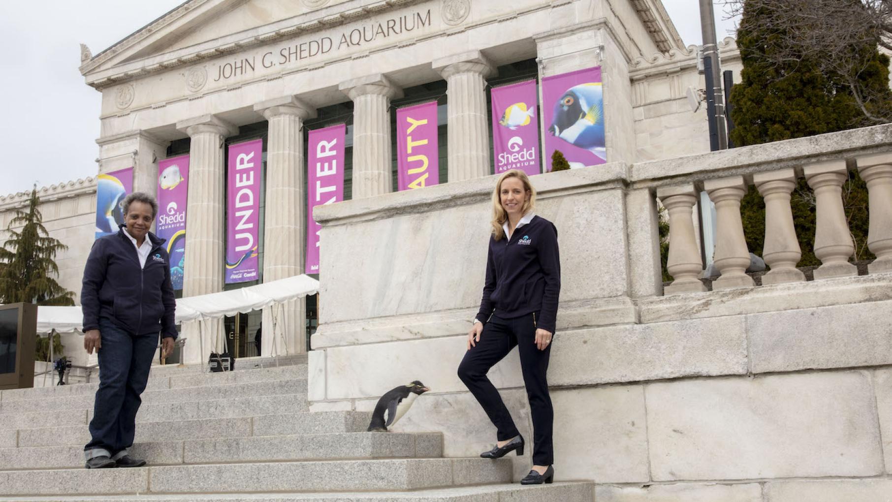 Mayor Lightfoot at the Shedd Aquarium in 'Stay Home. Hit Play.' Mayor Lightfoot at the Shedd Aquarium in 'Stay Home. Hit Play.'