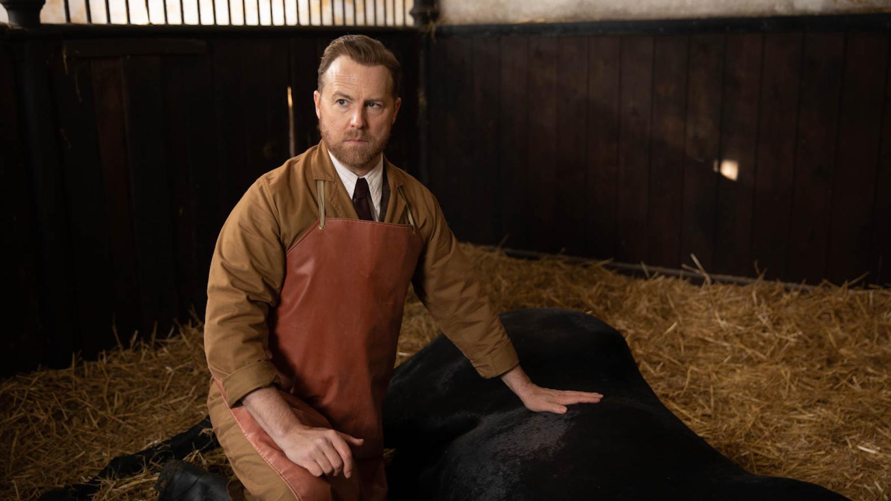 Siegfried finds himself in a tricky situation with a racehorse. Photo: Playground Television UK Ltd & all3media international Siegfried Farnon in 'All Creatures Great and Small.' Photo: Playground Television UK Ltd & all3media international
