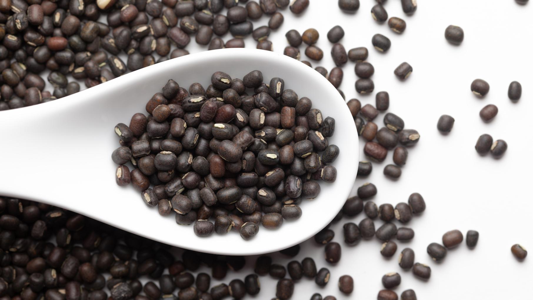 Maah or urad daal, a black bean, is a common component of a langar, a meal served to anyone after any service at a Sikh gurdwara Urad daal