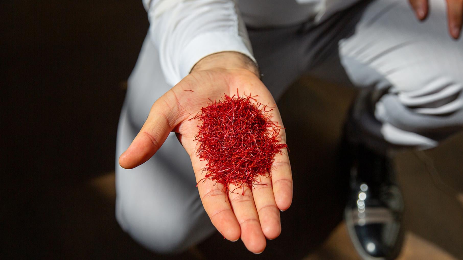 A man holding saffron in his palm.
