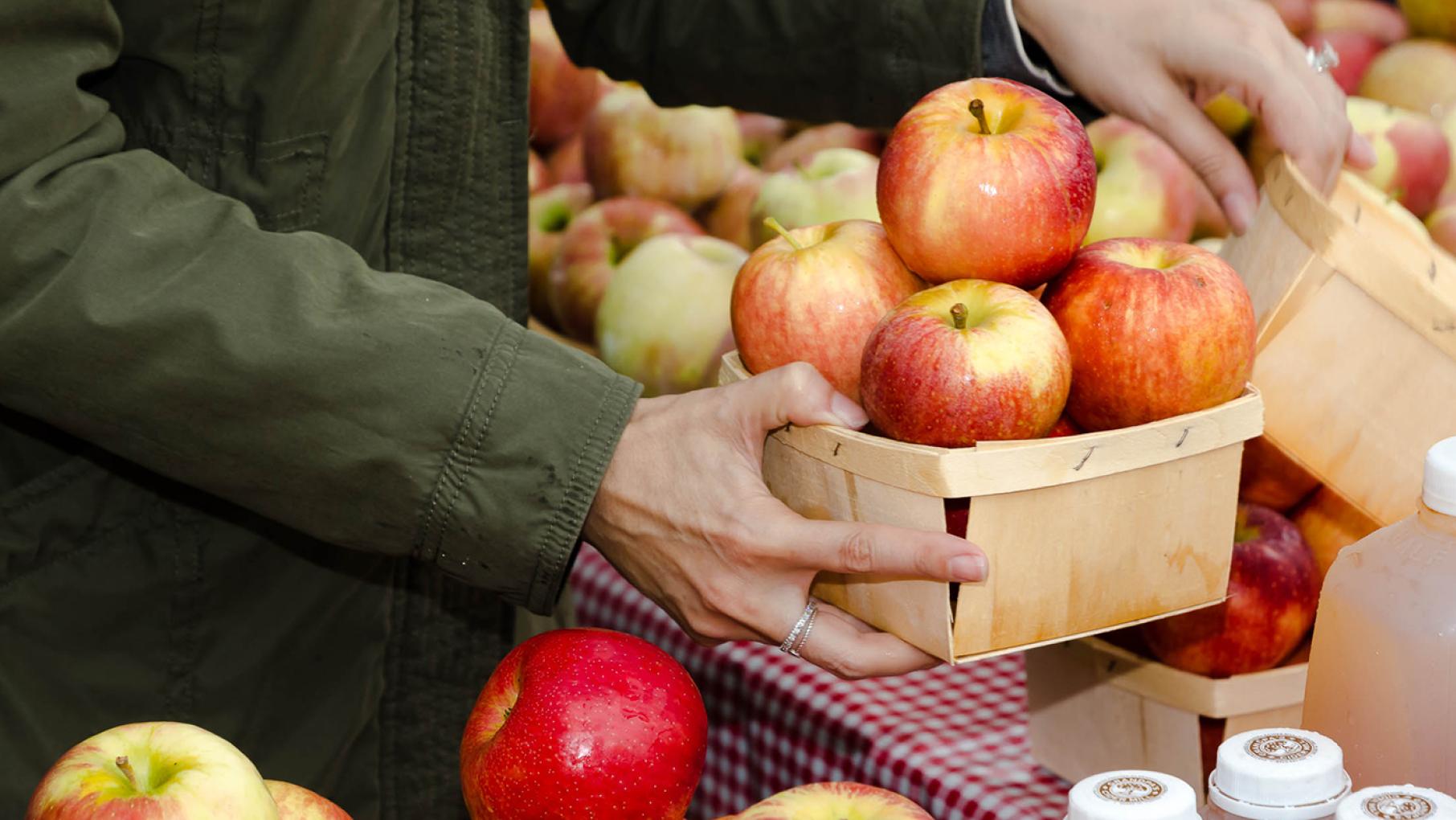 A woman holding a basket of apples