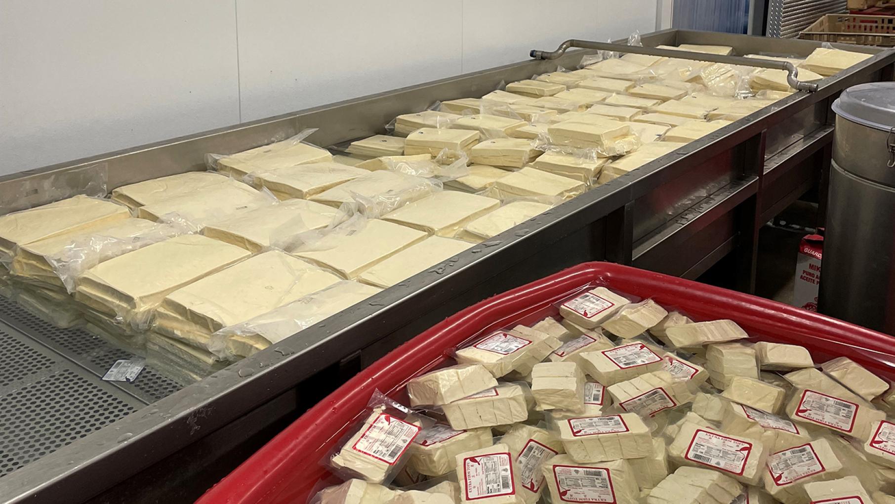 Phoenix Bean's new factory produces three to eight thousand pounds of tofu a day, all from Illinois-grown soybeans. Photo: Courtesy Jenny Yang Packaged tofu on a conveyor belt and in a tub of water at Phoenix Bean's factory