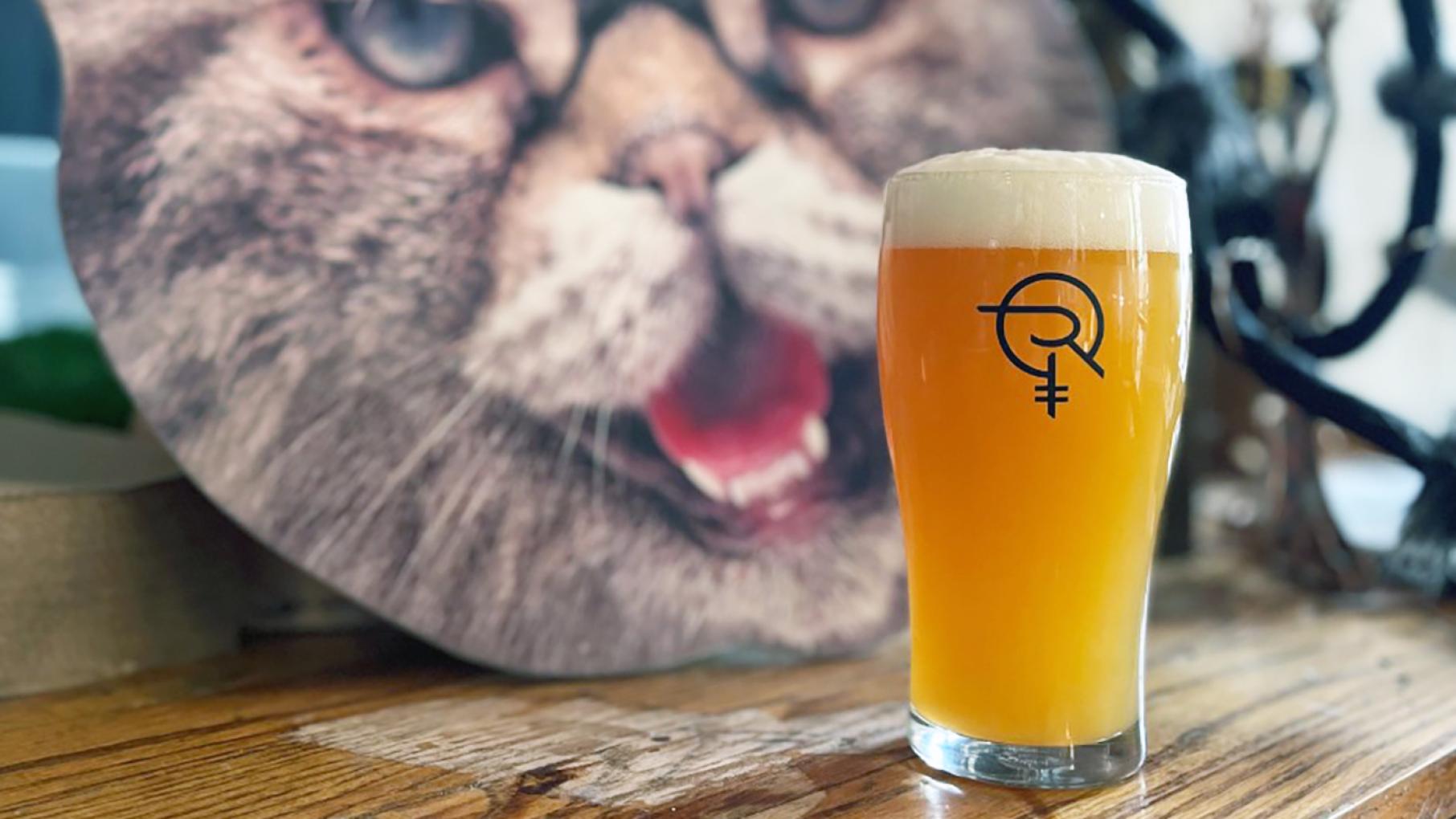 Rabid Brewing is located in Homewood, Illinois. Image: Courtesy of Rabid Brewing A beer with an illustration of a cat behind it