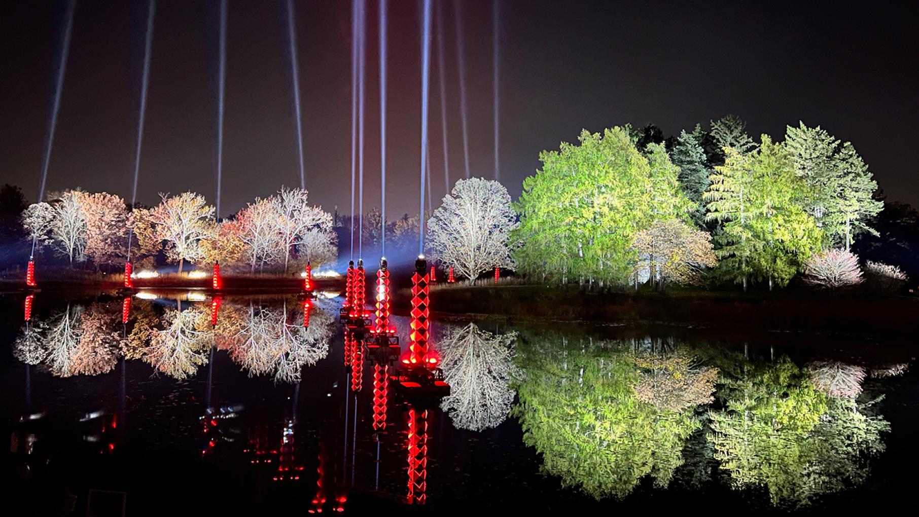 Illumination: Tree Lights at The Morton Arboretum. Credit: The Morton Arboretum Trees illuminated at the Morton Arboretum