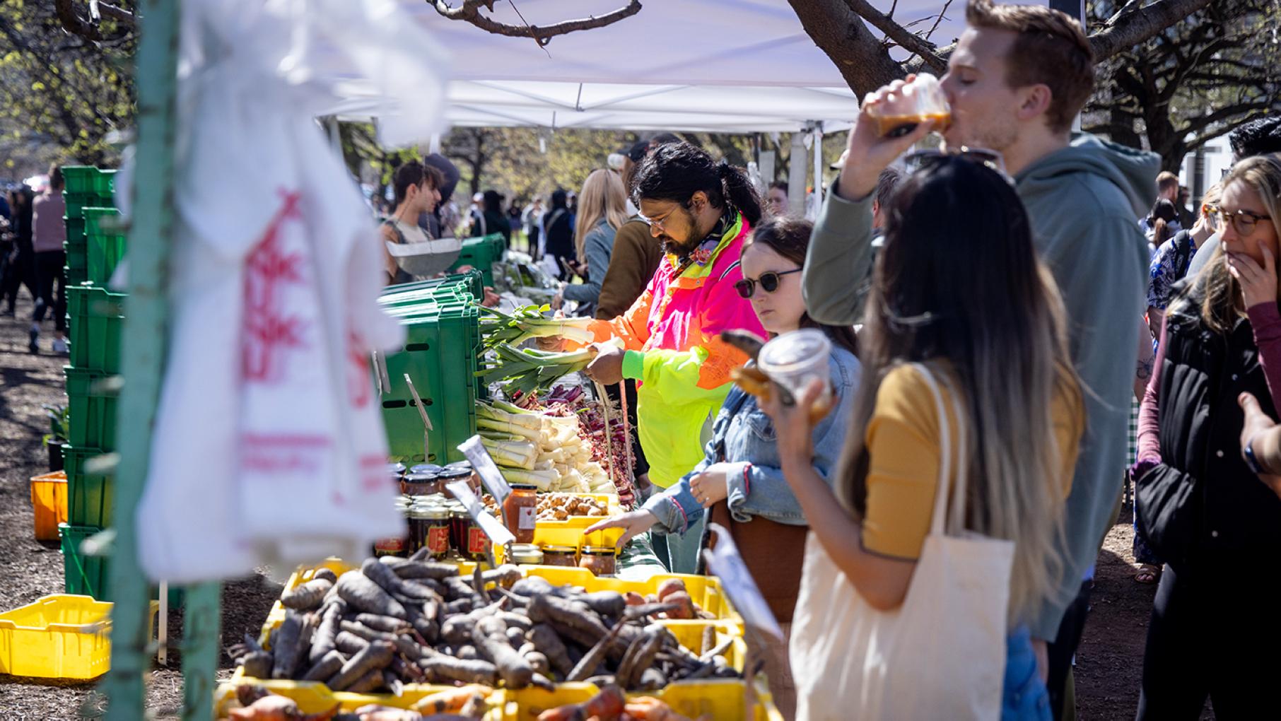 People peruse vegetables laid out on tables in the sun at a farmers market