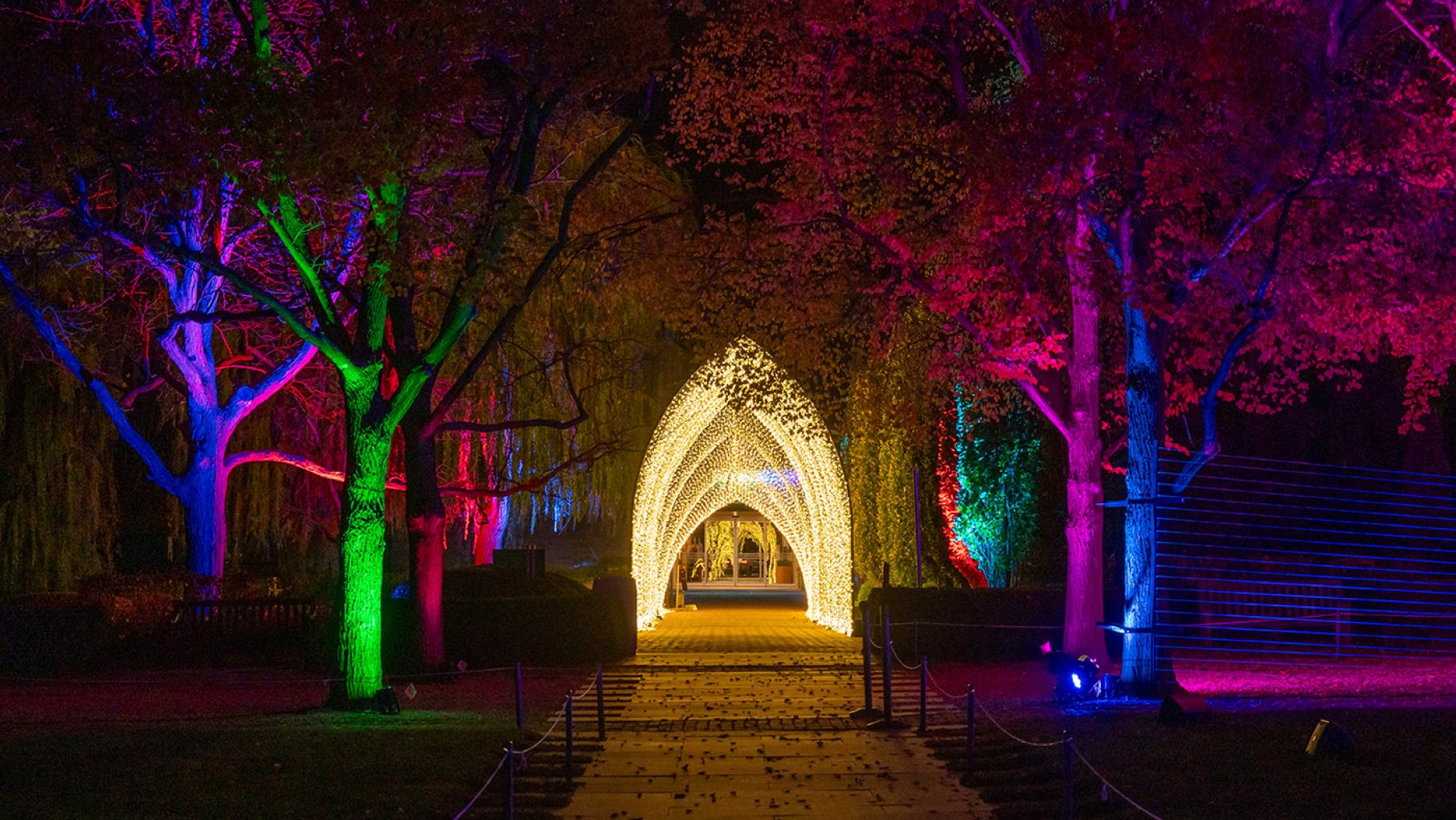 Lightscape at the Chicago Botanic Garden. Credit: Chicago Botanic Garden An arch of fairy lights and trees lit up in different colors