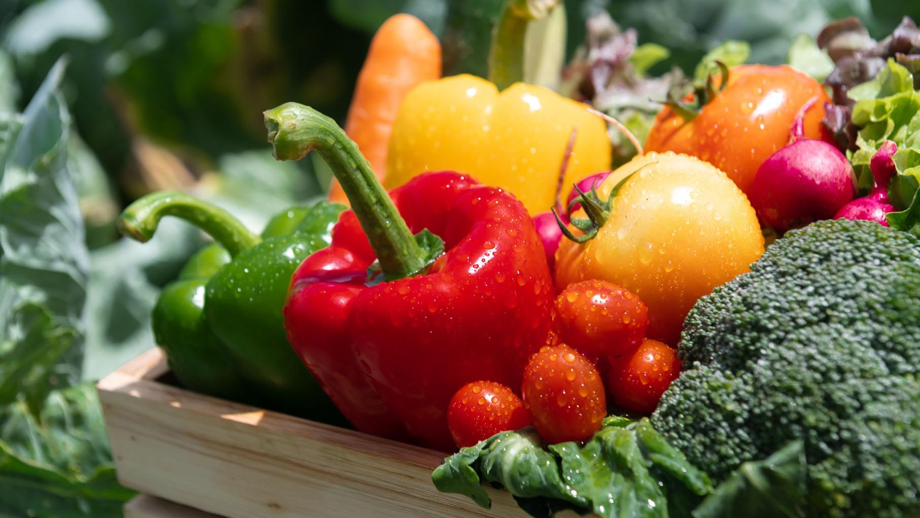 Credit: iStock Peppers, tomatoes, broccoli, and other vegetables together in a box