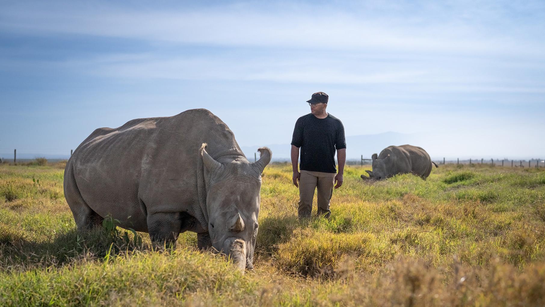 A man stands in a field under a blue sky near a rhino